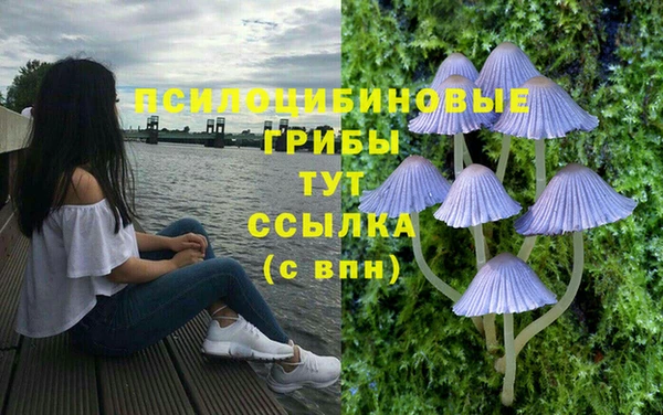 тгк Каменка