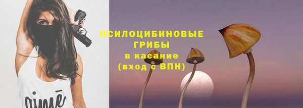 тгк Каменка