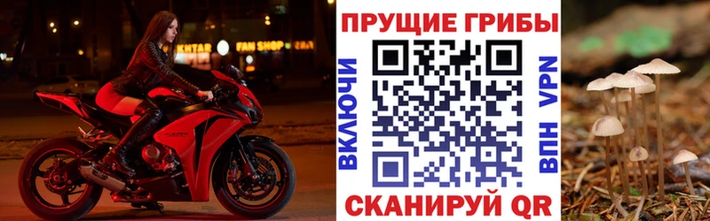 Галлюциногенные грибы MAGIC MUSHROOMS  Купить где  Байкальск 
